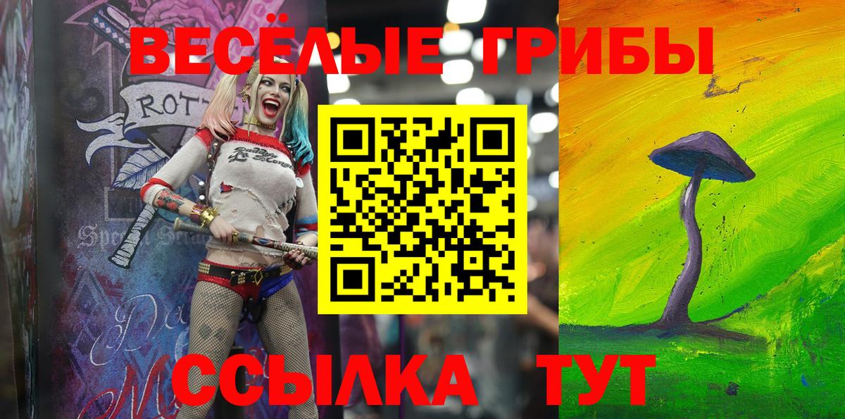 Псилоцибиновые грибы MAGIC MUSHROOMS  Вход с VPN  наркота  Гусев 