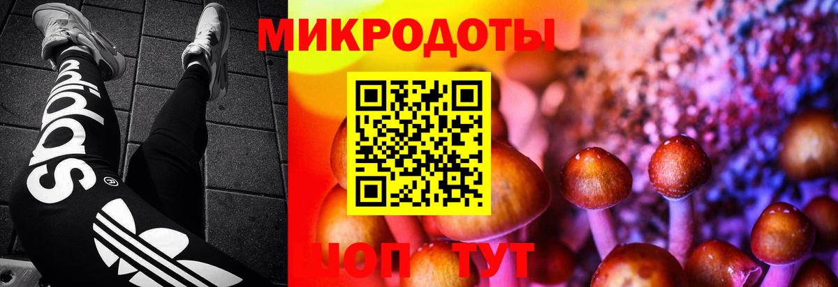 Псилоцибиновые грибы MAGIC MUSHROOMS Гусев